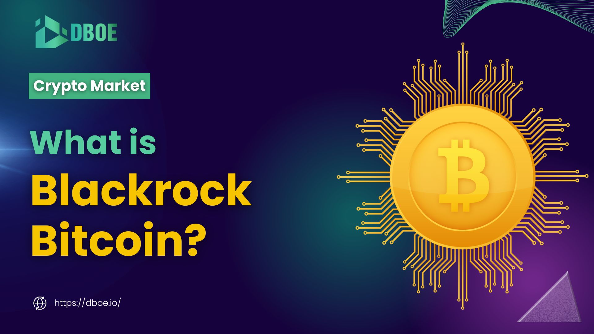 BlackRock Bitcoin: The Ultimate Guide to BlackRock’s Bitcoin ETF